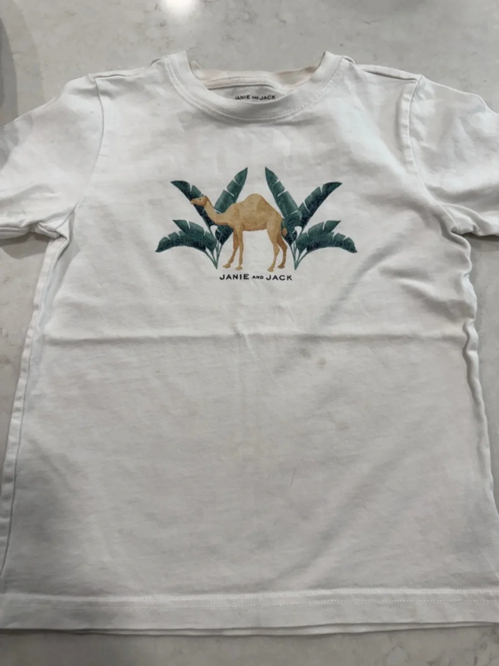 Janie and Jack Camel Swim Trunks and Cotton Shirt 5T - Picture 5 of 8
